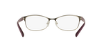 6050 - Red & Shiny Pale Gold / Demo Lens