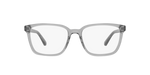 6050 - Transparent Grey / Demo Lens
