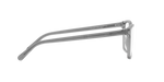 6050 - Transparent Grey / Demo Lens