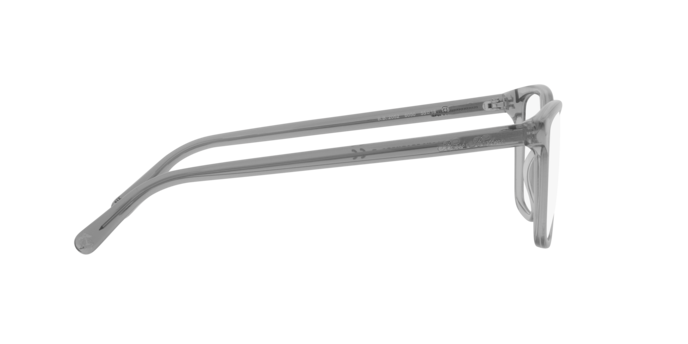 6050 - Transparent Grey / Demo Lens