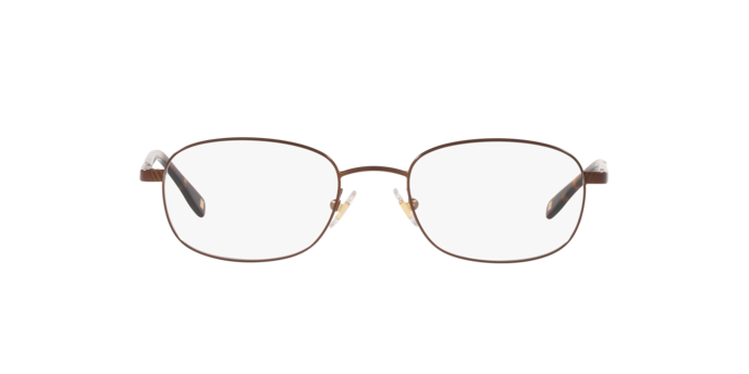 1010 - Dark Brown / Demo Lens