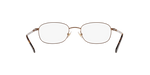 1010 - Dark Brown / Demo Lens