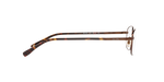1010 - Dark Brown / Demo Lens