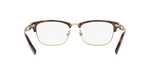 3316 - Light Havana/Light Gold / Demo Lens