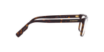 3002 - Dark Havana / Demo Lens