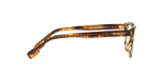 3981 - Top Check/Striped Brown / Demo Lens