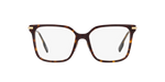 3002 - Dark Havana / Demo Lens