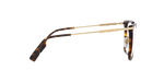 3002 - Dark Havana / Demo Lens