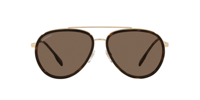 101773 - Gold / Dark Brown