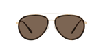 101773 - Gold / Dark Brown