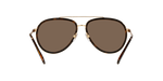 101773 - Gold / Dark Brown