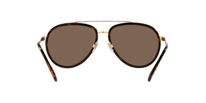 101773 - Gold / Dark Brown