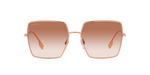 133713 - Rose Gold / Gradient Pink