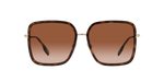 110913 - Dark Havana / Brown Gradient