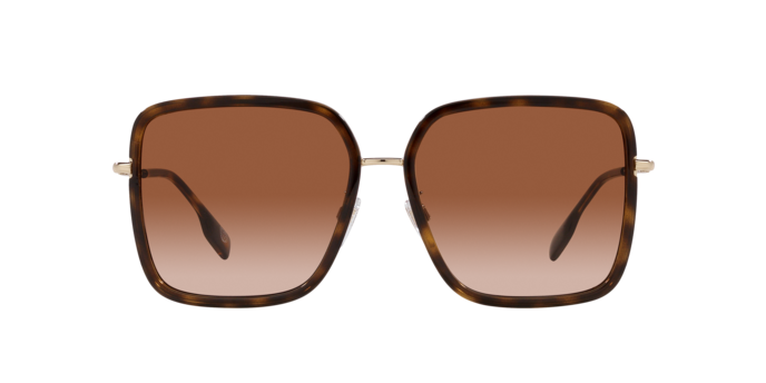 110913 - Dark Havana / Brown Gradient
