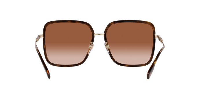 110913 - Dark Havana / Brown Gradient
