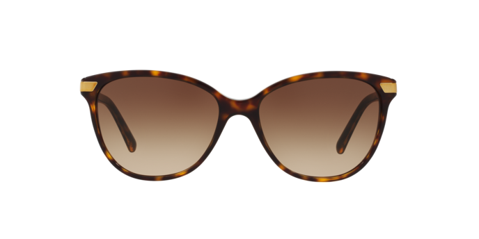 300213 - Dark Havana / Brown Gradient