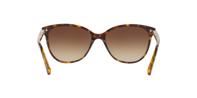 300213 - Dark Havana / Brown Gradient