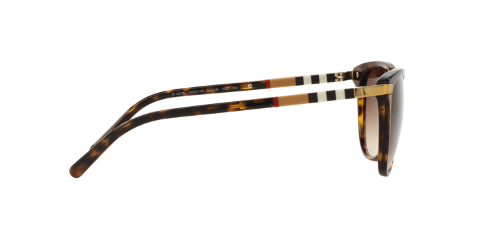 300213 - Dark Havana / Brown Gradient