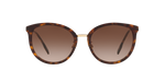 300213 - Dark Havana / Brown Gradient