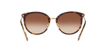 300213 - Dark Havana / Brown Gradient