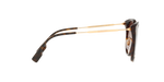 300213 - Dark Havana / Brown Gradient