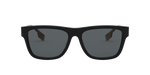 377381 - Black / Polarized Grey