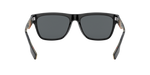377381 - Black / Polarized Grey