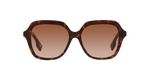 300213 - Dark Havana / Brown Gradient