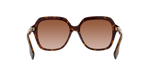 300213 - Dark Havana / Brown Gradient