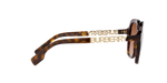 300213 - Dark Havana / Brown Gradient