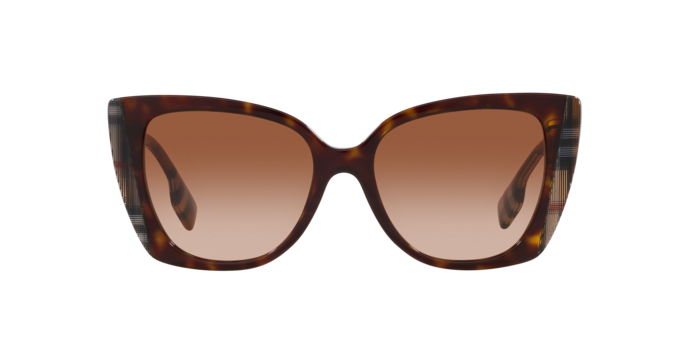 405313 - Dark Havana/Check Brown / Brown Gradient