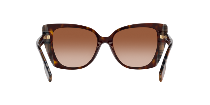405313 - Dark Havana/Check Brown / Brown Gradient