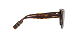 405313 - Dark Havana/Check Brown / Brown Gradient