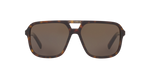 502/73 - Havana / Brown Gradient Dark Brown