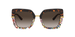 327813 - Havana/Print Carretto / Brown Gradient Dark Brown