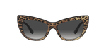 31638G - Leo Brown/Black / Grey Gradient