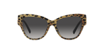 31638G - Leo Brown On Black / Grey Gradient