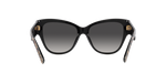 31638G - Leo Brown On Black / Grey Gradient