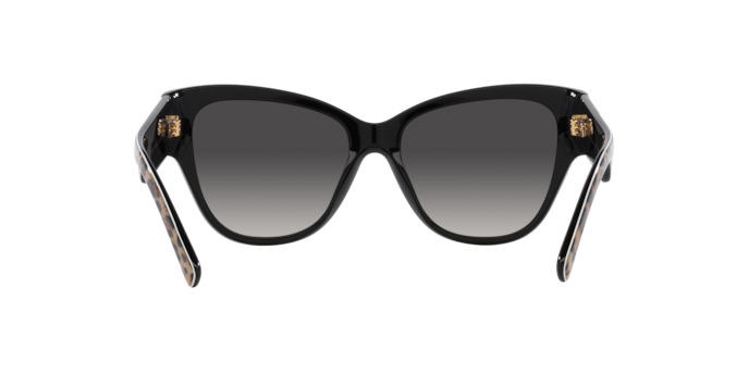 31638G - Leo Brown On Black / Grey Gradient