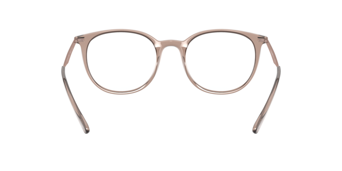 5850 - Shiny Transparent Tundra / Demo Lens