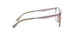 5850 - Shiny Transparent Tundra / Demo Lens