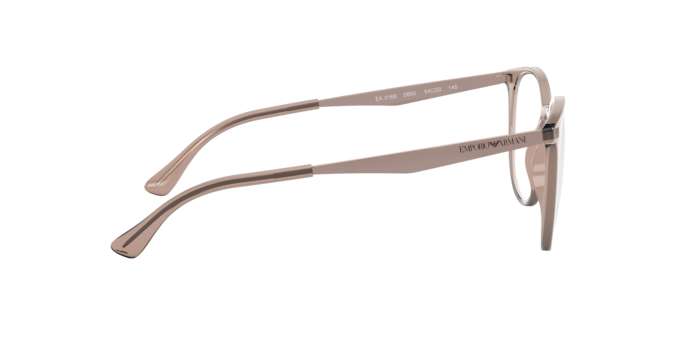 5850 - Shiny Transparent Tundra / Demo Lens