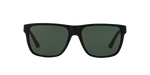 501771 - Shiny Black / Green