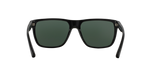 501771 - Shiny Black / Green