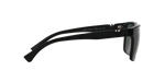 501771 - Shiny Black / Green