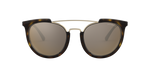 50265A - Shiny Havana / Mirror Gold