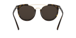 50265A - Shiny Havana / Mirror Gold