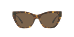 502573 - Shiny Brown Havana / Brown