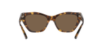 502573 - Shiny Brown Havana / Brown